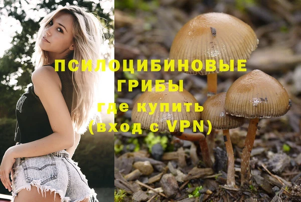 стафф Алексин