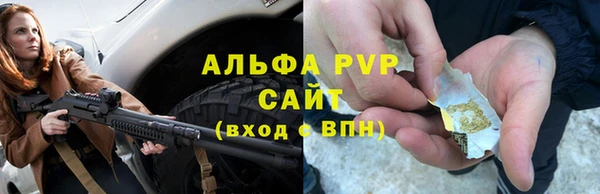 стафф Алексин