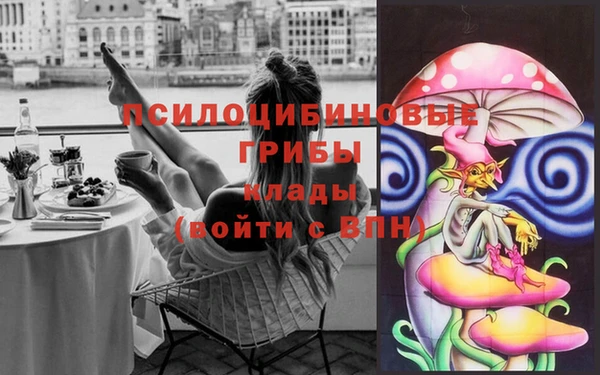 первитин Алексеевка