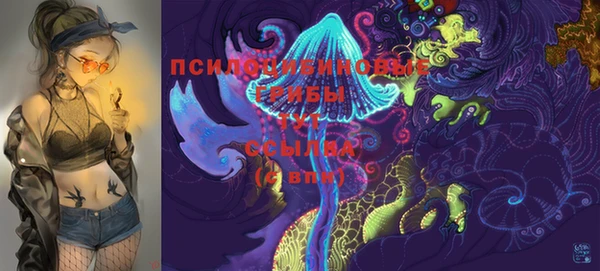 стафф Алексин