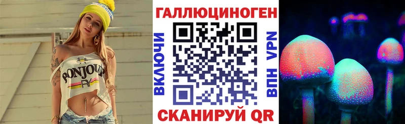 где купить наркоту  Болхов  Псилоцибиновые грибы Cubensis 